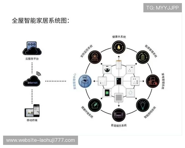 全面解析db体育平台的优势与用户体验提升策略