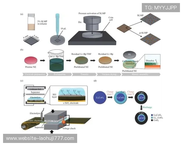 利用pp电子模拟技术进行电路故障分析与优化设计的实用指南