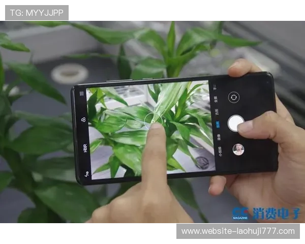 从零开始学习：老虎机开机上分的详细步骤与实用技巧推荐