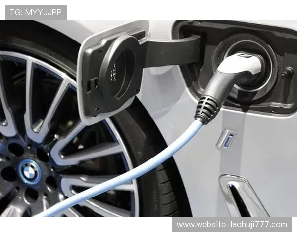 多宝电子官网产品评测与用户评价，真实反馈助您选择合适的电子产品